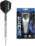 Target Darts Adrian Lewis Gen 4 90% Tungsten Steel Tip Darts Set