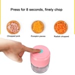 Electric Mini Garlic Chopper Pink Two Leaf USB Charging Mini Wireless SG