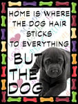 SHAWPRINT Black Labrador Fridge Magnet 100mm x 75mm HOME IS WHERE THE DOG HAIR STICKS TO EVERYTHING BUT THE DOG Novelty Gift