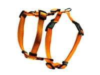 Dogman H-Sele Iris Orange 25Mm