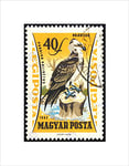 Wee Blue Coo POSTAGE STAMP HUNGARY 40 FORINT OSPREY BIRD PREY FRAMED ART PRINT B12X11040