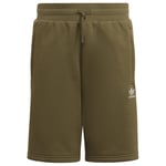 adidas Originals Shorts Adicolor - Grön Barn adult HD2063