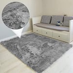 Amazinggirl Tapis Salon Shaggy 120 x 160 cm - Descente de lit Chambre Grande Taille Tapis Poils Longs Moderne tapid Moquette Poil Long tapi Gris