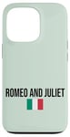 Coque pour iPhone 13 Pro Romeo and Juliet Love Illustration Novelty Graphic Designs