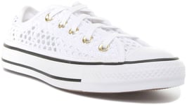 Converse All Star Gold Lace Up Womens TrainerI n White Black  UK 3 - 8