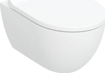 Geberit Acanto Vägghängd Wc-Stol, Trattformad, B36cm, H38,5Cm, T53cm, Dold Infästning, Med Turboflush Spolteknik, Med Wc-Stol, Toppmonterad, Frispolande, Med Löstagbara Gångjärn [6]