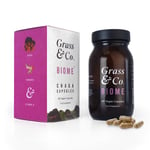 Grass & Co. BIOME Chaga Mushrooms with Curcumin + Ginger, 60 Vegan Capsules