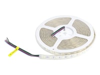 Synergy 21 Led Flex Strips 60 Rgb Dc24v Rgbw One Chip Sww Ip65