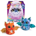 Hatchimals Alive Draggle Éclosion Secrète Peluches et Animaux interactifs Oeuf Surprise À Faire Éclore, Lumières Et Brume Plus 100 Sons Et Réactions Jouet Enfant 5 Ans et Plus - Modèle Aléatoire