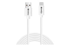 Sandberg Saver - USB Type-C kabel - USB til 24 pin USB-C - 2 m