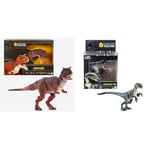 Mattel Jurassic World Hammond Collection Fallen Kingdom Carnotaurus Dinosaur Action Figure & Jurassic World Hammond Collection Velociraptor Blue Dinosaur Figure, Premium Design & Articul