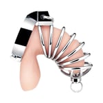 Blue Line Urethral Play Cock Cage Metal Chastity Device Restraint Penis Sound