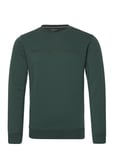 Sail Racing Bowman Sweater Grön