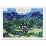 Vincent Van Gogh The Olive Trees Painting Artwork Framed Wall Art Print A4