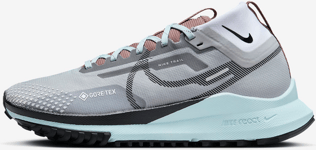 Nike Women's Waterproof Trail-running Shoes Pegasus Trail 4 Gore-tex Juoksukengät LIGHT SMOKE GREY/GLACIER BLUE/FOOTBALL GREY/BLACK