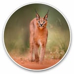 2 x Vinyl Stickers 25cm - Caracal African Lynx Cat Cool Gift #3170