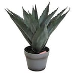 Nordic Furniture Group Aloeveraplanta med kruka grå H45 cm