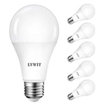 LVWIT 16W E27 Ampoule LED, 120W Blanc Froid 6500K, Ultra brillante, 1900Lm, Lampe LED classique (Lot de 6)