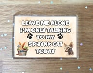 Cat Fridge Magnet Gift - Leave Me Alone I'm Only Talking To My Sphynx Cat Today