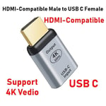 Adaptateur USB Type C Compatible HDMI vers DP/VGA/Mini DP/RJ45 4K/8K 60Hz,Convertisseur de Transfert Vidéo pour Ordinateur Portable,Téléphone,Macbook Pro Air - Type HD019