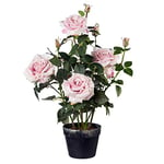 Gasper 3019006-10 Plante Artificielle Rosier en Pot en Plastique Rose Hauteur 48 cm
