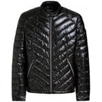 Doudounes Guess  Veste Homme Matelassé M94L05WC270 Noir