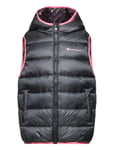 Vest Black Champion