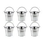 6Pcs Mini Seaux, Seaux en Métal, Pot Seau De Sable, Seau en Fer Blanc, Mini Seau en Métal, Petits Seaux en Métal Aalvanisé, Métal Seau Étain, Seaux Cadeaux, Mini Conteneur de Jardin en Pot (A)