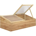 Mini serre de jardin serre pour semis dim. 100L x 50l x 36H cm toit 2 pans ouvrables séparement panneaux de polycarbonate bois sapin pré-huilé