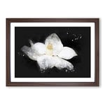 Big Box Art Blooming White Magnolia Paint Splash Framed Wall Art Picture Print Ready to Hang, Walnut A2 (62 x 45 cm)