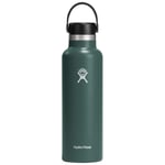 Hydro Flask 21oz Standard Flex Cap Insulated Drinks Bottle - Fir