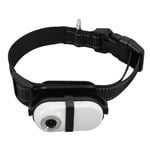 Pet Collar Camera Multiple Uses Dog Tracker Camera WiFi Portable For Indoor