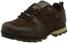 Aigle Homme PLUTNO 2 MTD LT Chaussure de randonnée, Expresso, 41 EU