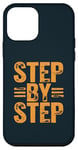 iPhone 12 mini AA Sponsor Step By Step AA Recovery Case