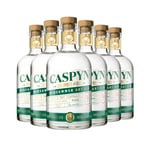 Pocketful of Stones - Caspyn Cucumber & Dill Midsummer Dry Gin 40% ABV 6 x 70cl