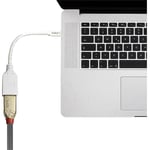 41021 DisplayPort / Mini-Display Câble adaptateur [1x DisplayPort femelle - 1x Mini port Display mâle] blanc 15.0 - Lindy