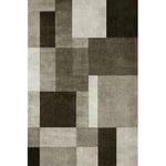 PONY DANCE - Tapis 200x300 Grande Taille de Chambre Adulte Moderne, Design Unique Lavable Rug, Decoration pour Maison Salon Chambre Dressing Bureau, Tissu Aspect Fourrure Doux, Brun