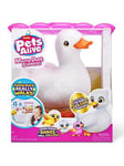 Zuru Pets Alive Mama & Baby Surprise Mama Duck S1