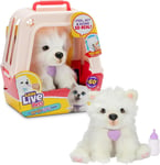 Little Live Pets 26578 Really Real Puppy-Luna The Samoyed, Multicoloured