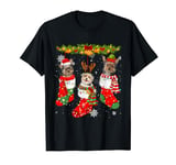 Yorkshire Terrier Dog In Socks Christmas Lights Sweater Xmas T-Shirt