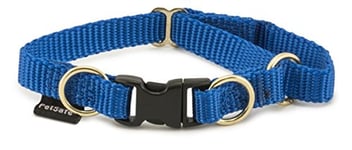 PetSafe KeepSafe Collier avec système Anti-étranglement pour Chien