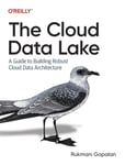 The Cloud Data Lake