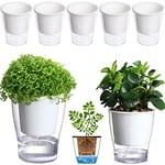 5-Pack 4.3 Inches Clear Self-watering Pots Small African Violet Planters Plastic Plant Pots Wicking Flower Pots for Indoor Plants, Herbs, African Violet, Ocean Spider Plant, Orchid Pot, Garden Pots