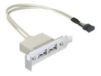 Delock Slot Bracket - Usb-Kabel - Usb (Hona) Till 9-Stifts Usb-Överdel (Hona) - Usb 2.0 - 50 Cm