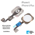 NEW iPhone 6/6 Plus Complete Home Button Assembly Replacement  - GOLD/WHITE