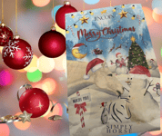 Lincoln Snowman and Pony Christmas Advent Calendar for Horses