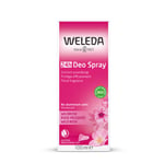 Weleda Wild Rose Spray Deodorant 100ml