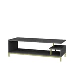 DECOROTIKA - Reilly Modern 120 cm TV Stand and Media Console - TV Unit – 55 inch TV Stand - Colour Options (Gold/Anthracite)