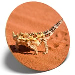 1 x Thorny Devil Reptile Desert - Round Coaster Kitchen Student Kids Gift 2213