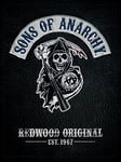 Sons Of Anarchy "Cut" Canvas Print, Cotton, Multi-Colour, 3.20 x 60.00 x 80.00 cm